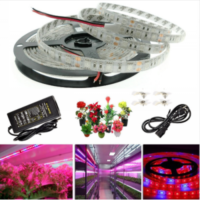 A6 LED Plant Grow Lights 5050 LED Strip DC12V for Greenhouse Hydroponic Plant Growing,5m/lot waterproof